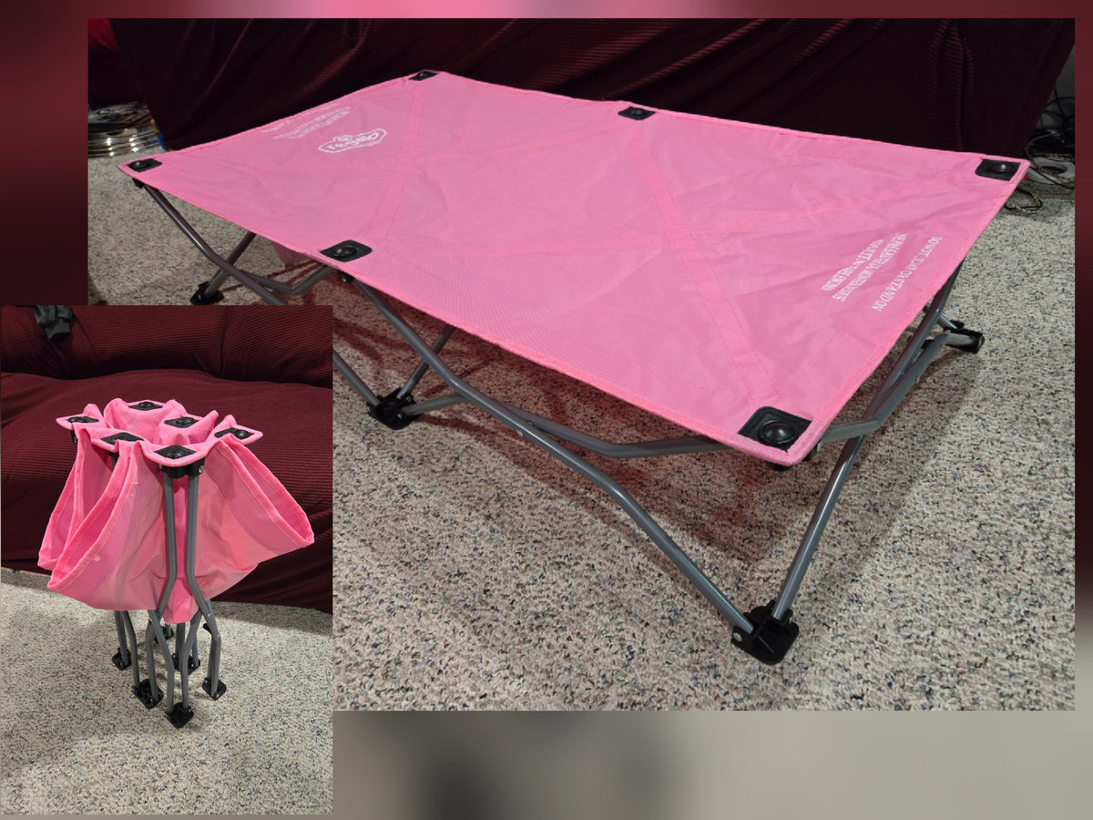 Foldable Regalo toddler cot, EUC