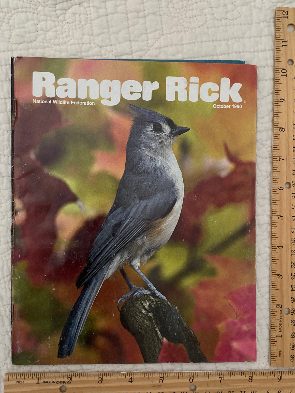 Vintage 1990 ranger Rick National wildlife