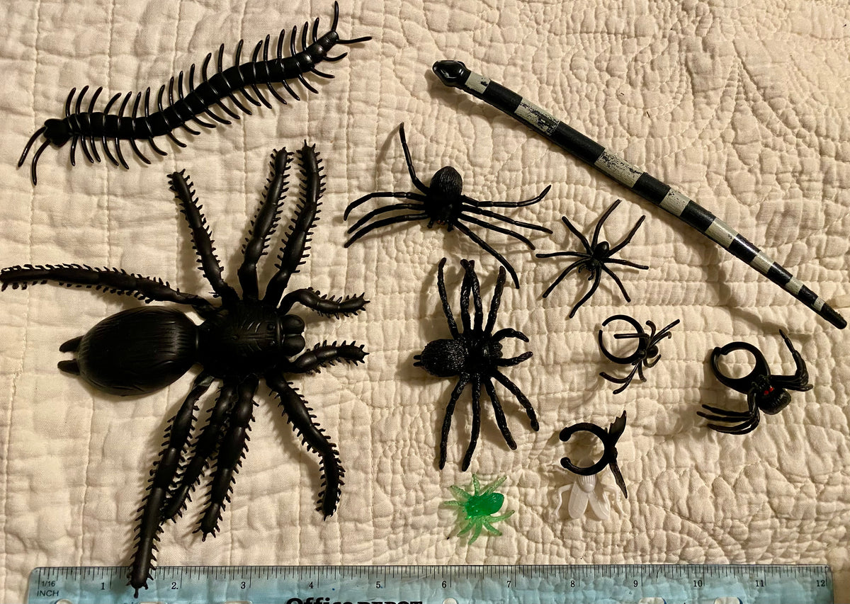 Black Large spider & Snake & crawling things