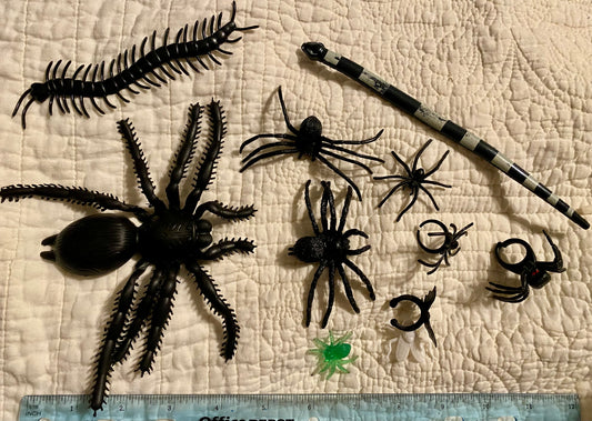 Black Large spider & Snake & crawling things