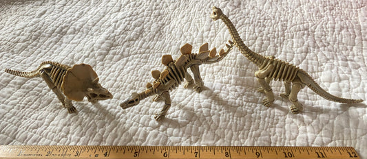 Prehistoric dinosaur Skeletons Triceratops,