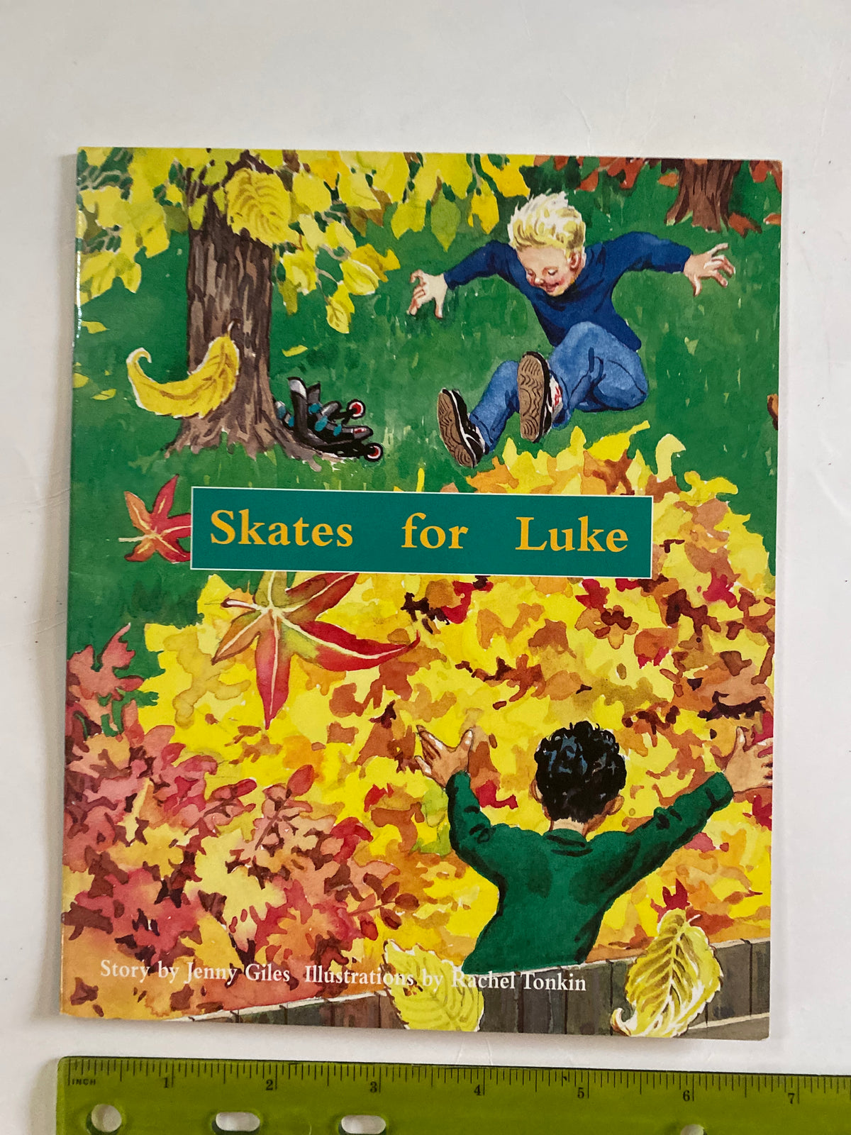 Book: Skates for Luke Story by Jenny Giles