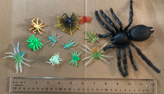 Spiders and insects