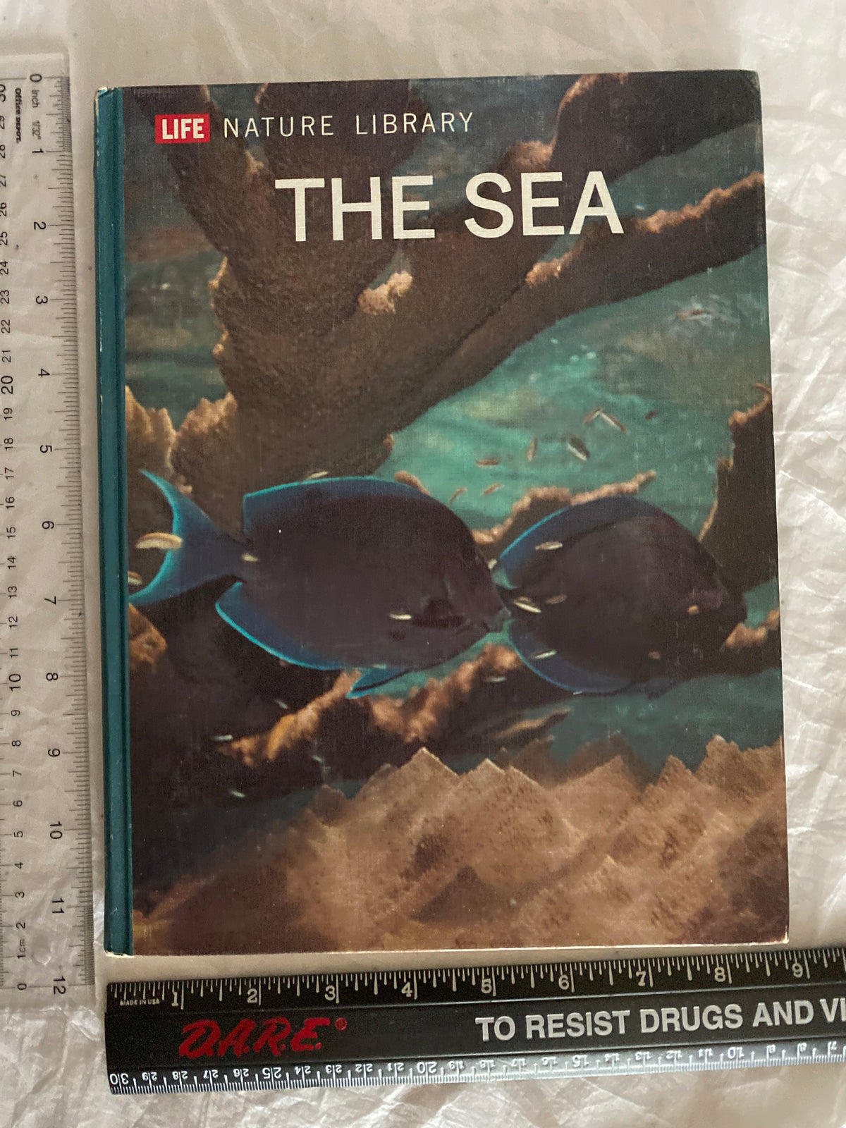 Vintage Life nature Library; The Sea