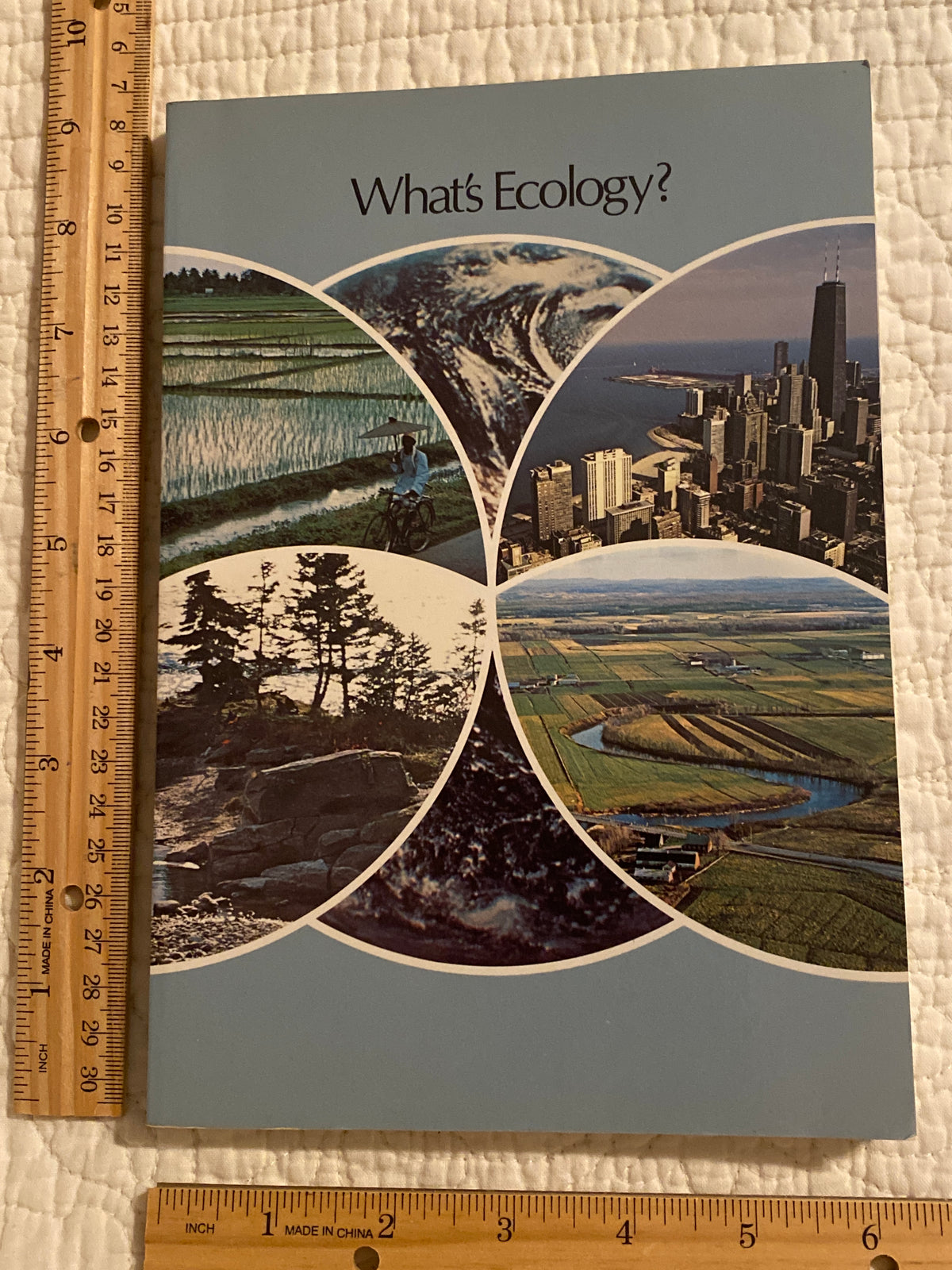 What's Ecology Vintage book 1978