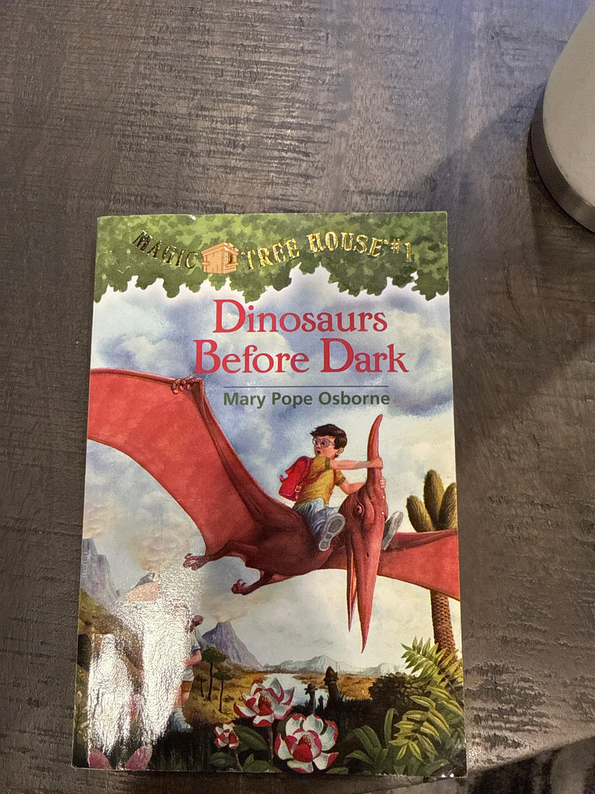 Dinosaurs before dark Magic treehouse
