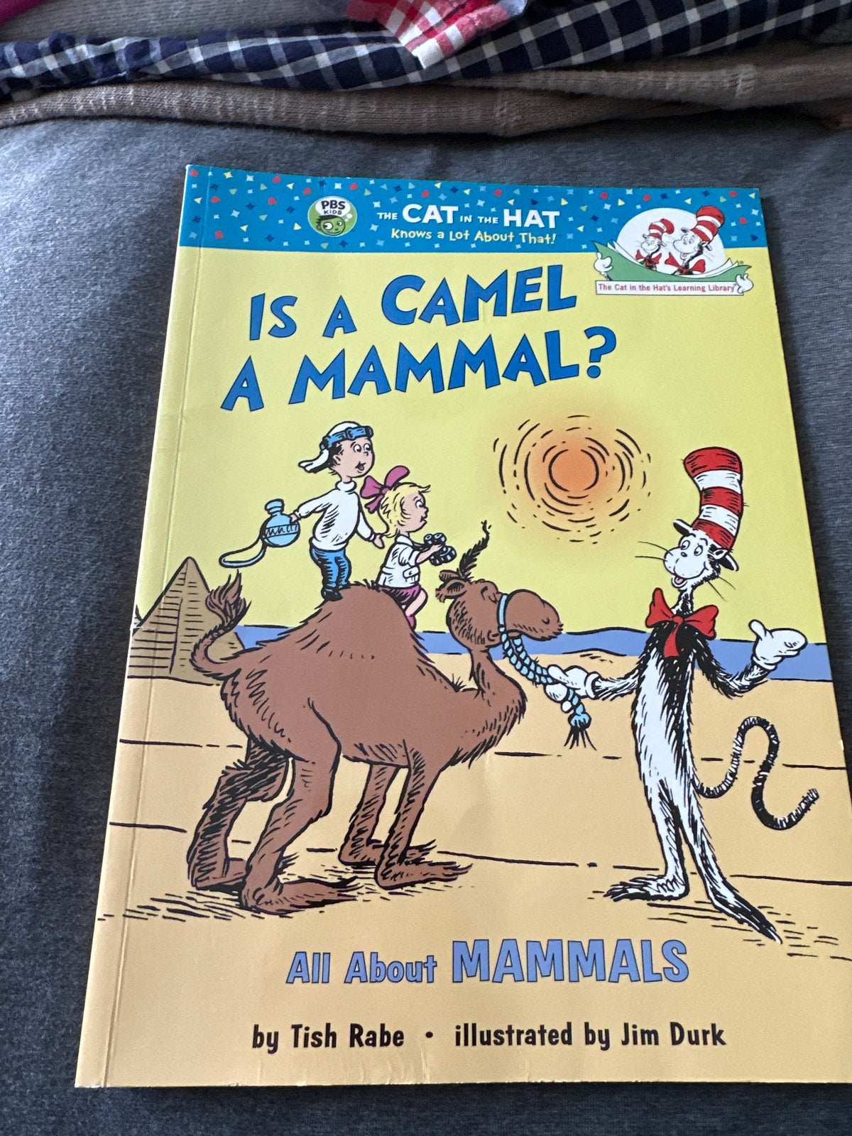 Camel / mammal
