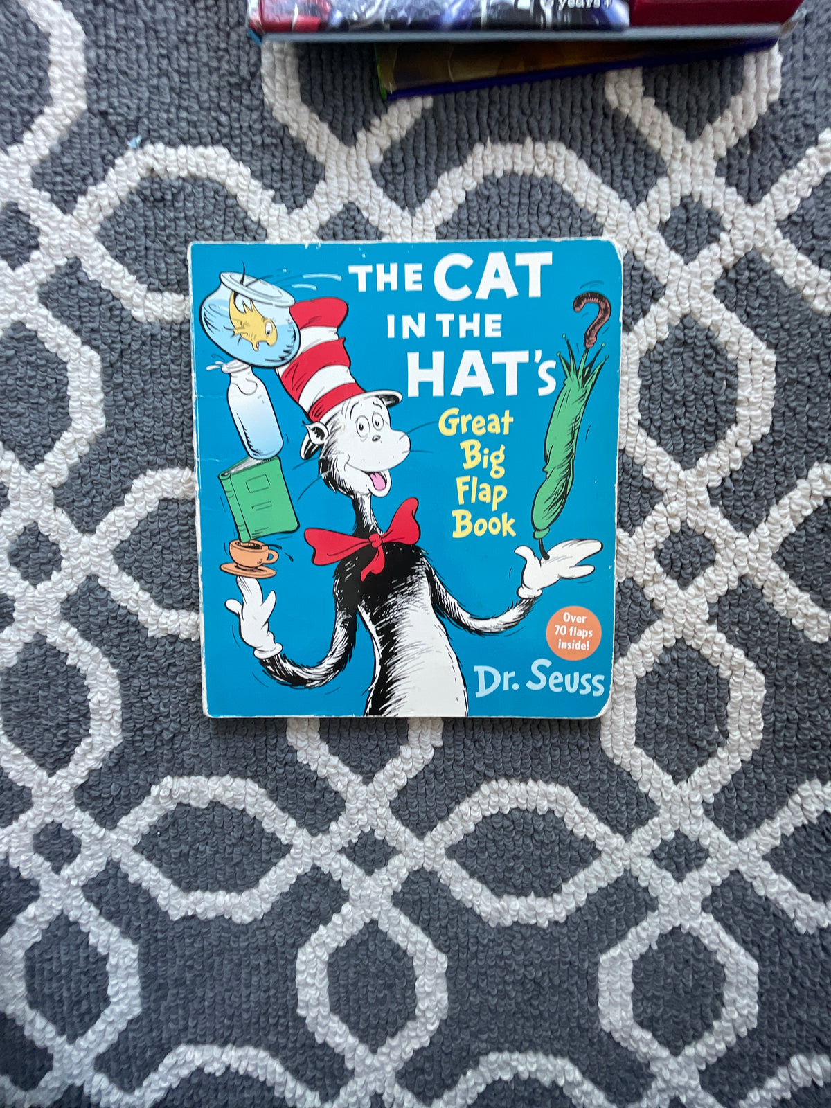 Cat in the hat Missing 2 flaps