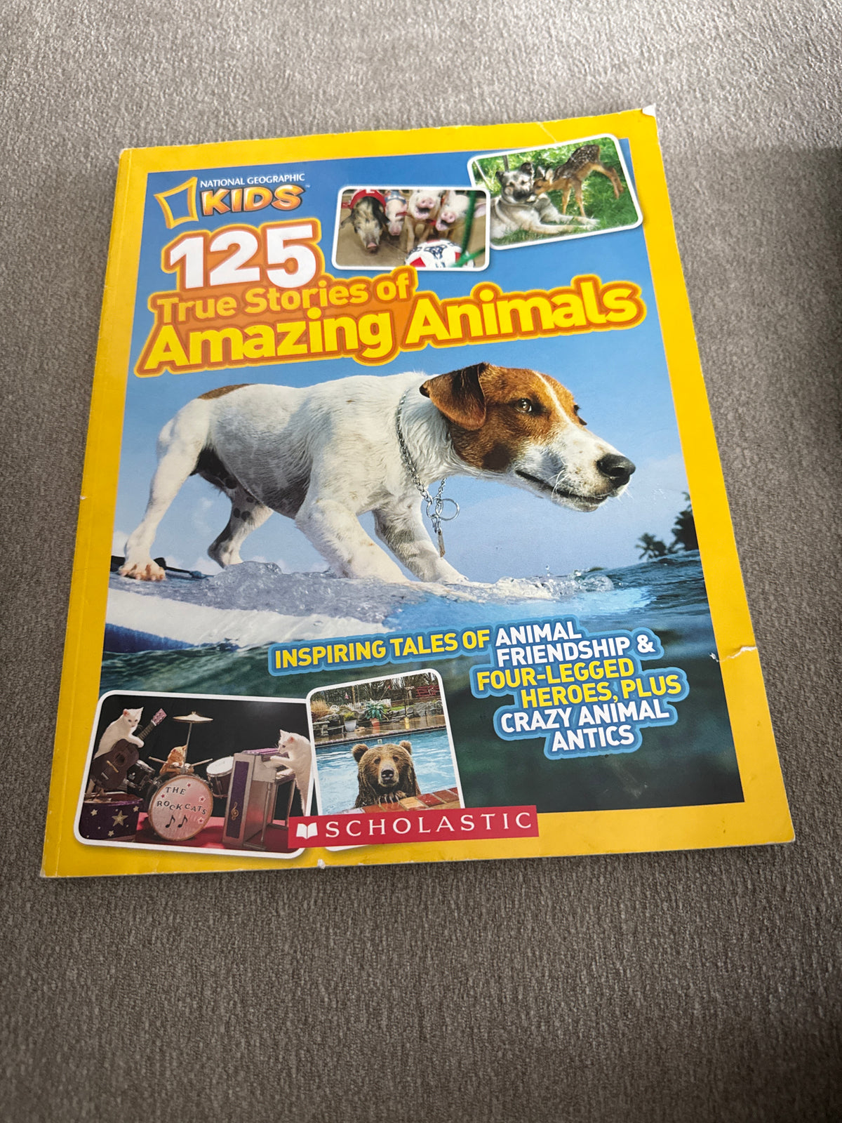 125 true stories Of amazing animals