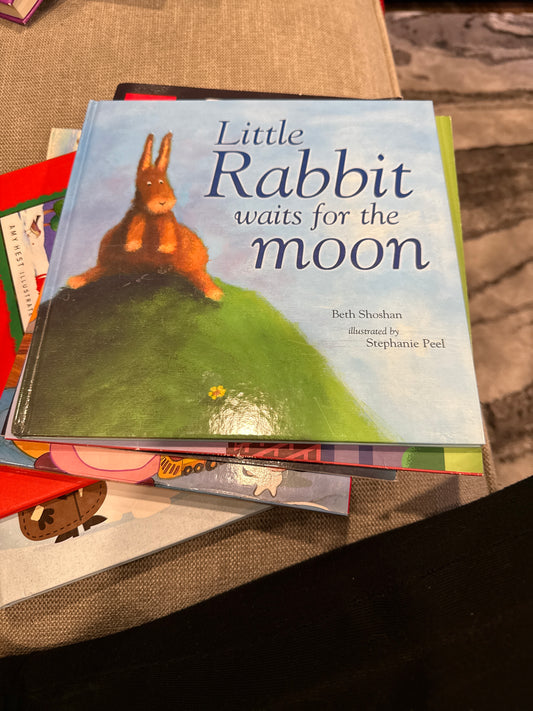 Little rabbit Waits for the moon