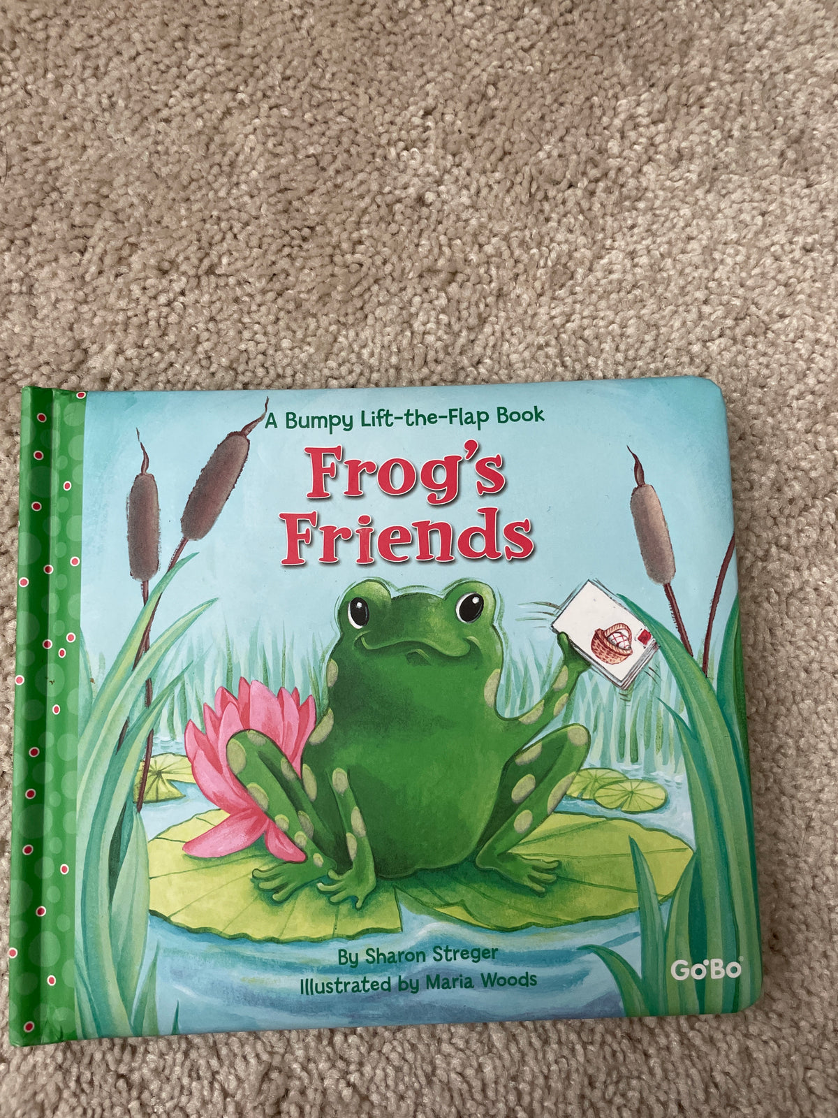 Frogs friends