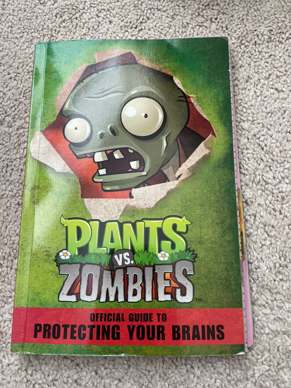 Pvz protecting brains Some Pages loose!