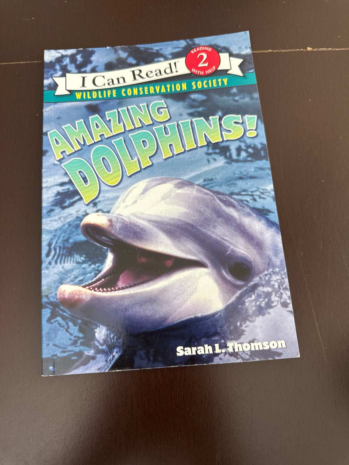 Amazing dolphins
