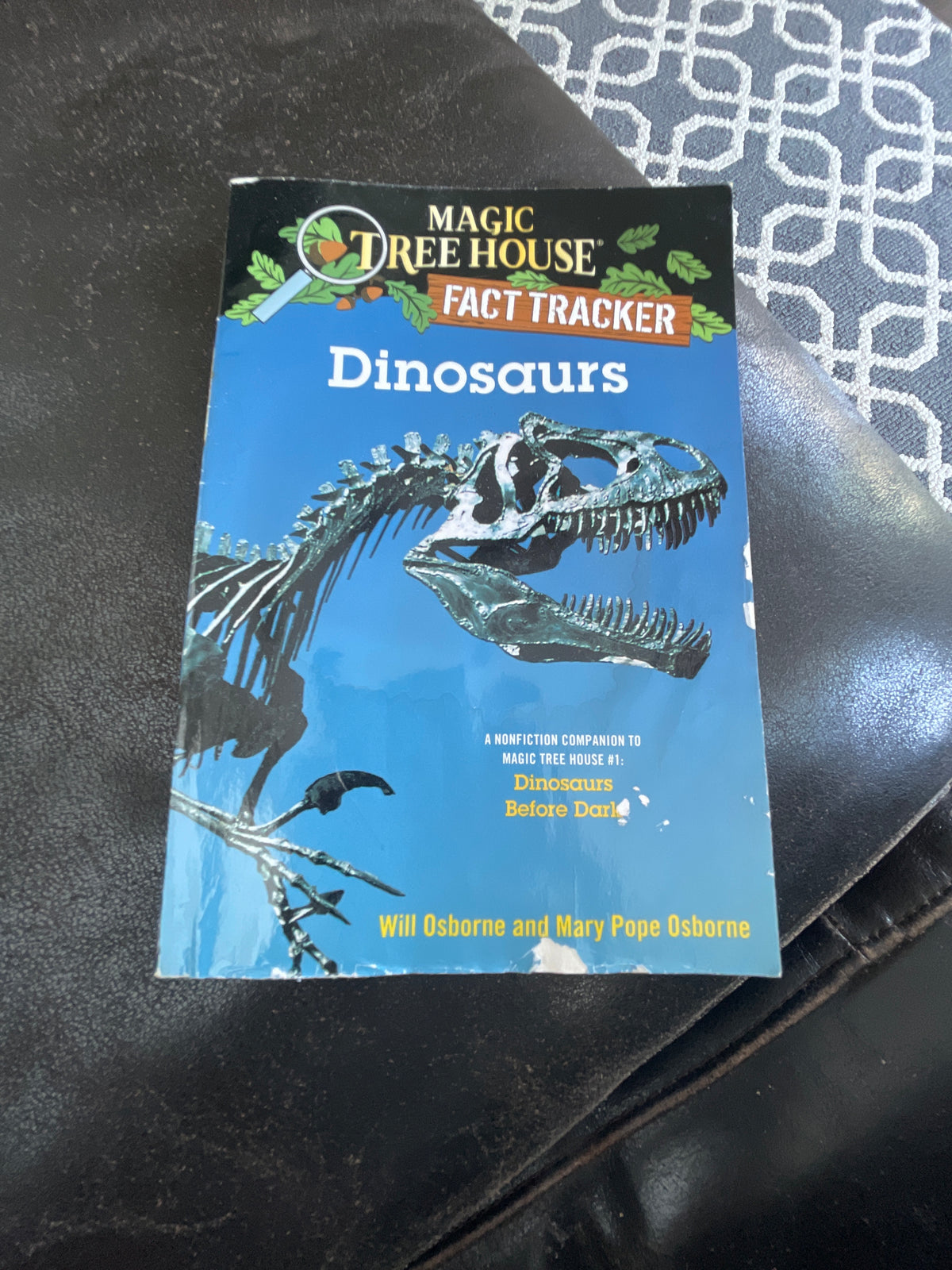 Magic treehouse Dinosaurs