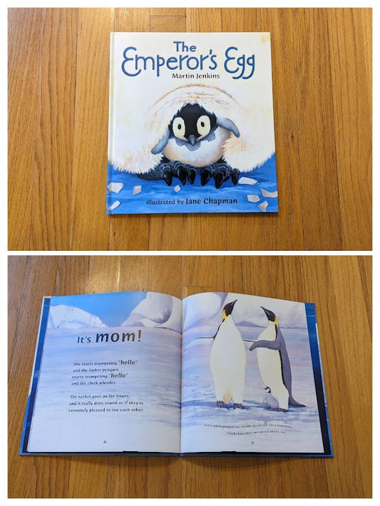 Hardcover The Empoeror's Egg