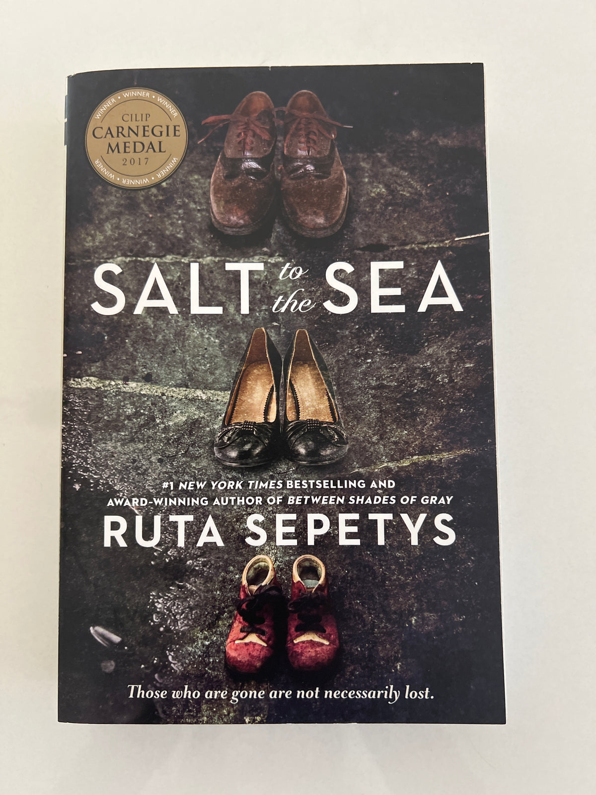 Salt to the sea PP Bk Bk Historical fiction LkNew
