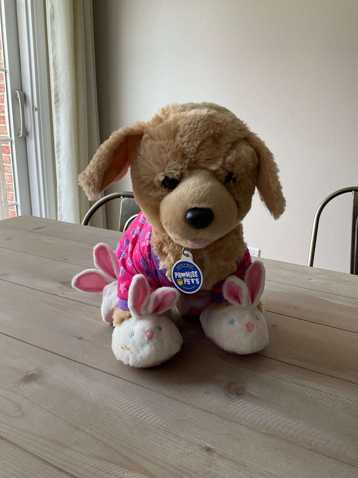 BUILD A BEAR DOG W/OUTFIT & SLIPPERS
