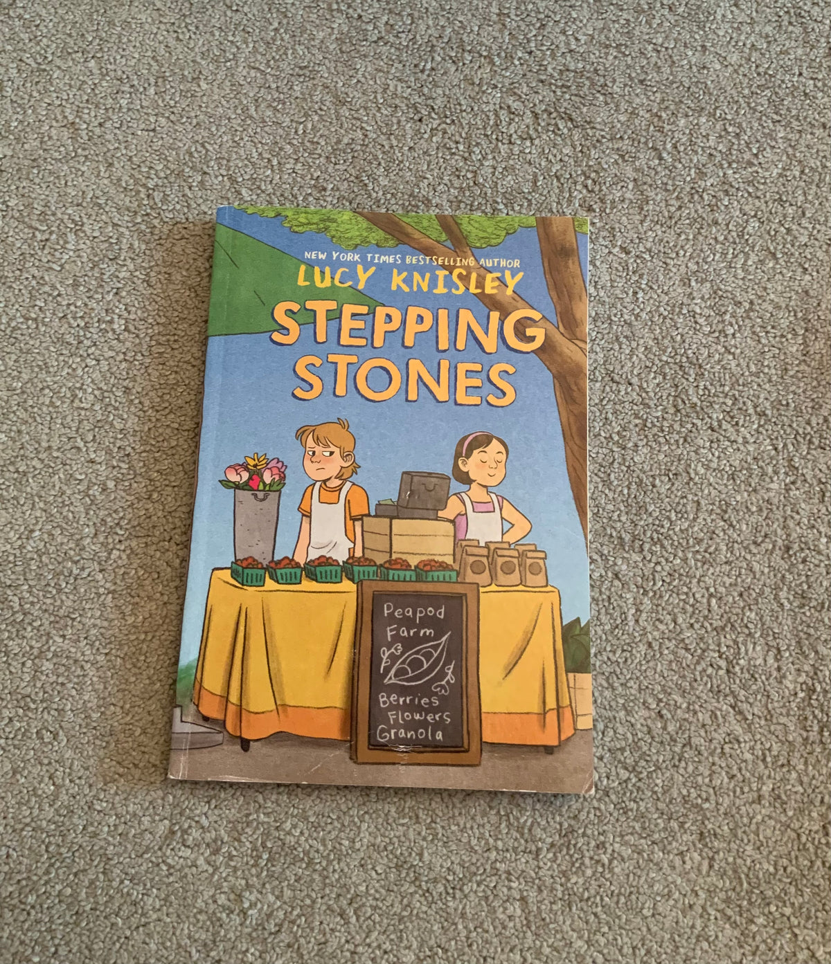Stepping stones