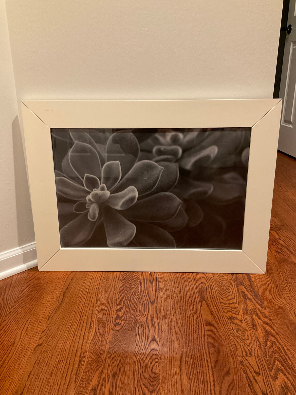 WEST ELM FRAME W/GLASS SUCCULENT PRINT