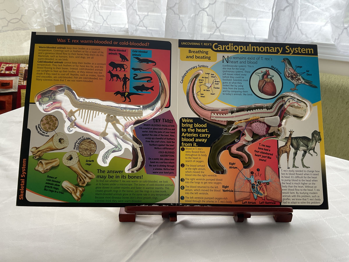 Uncover a T. Rex 3D Paleontology