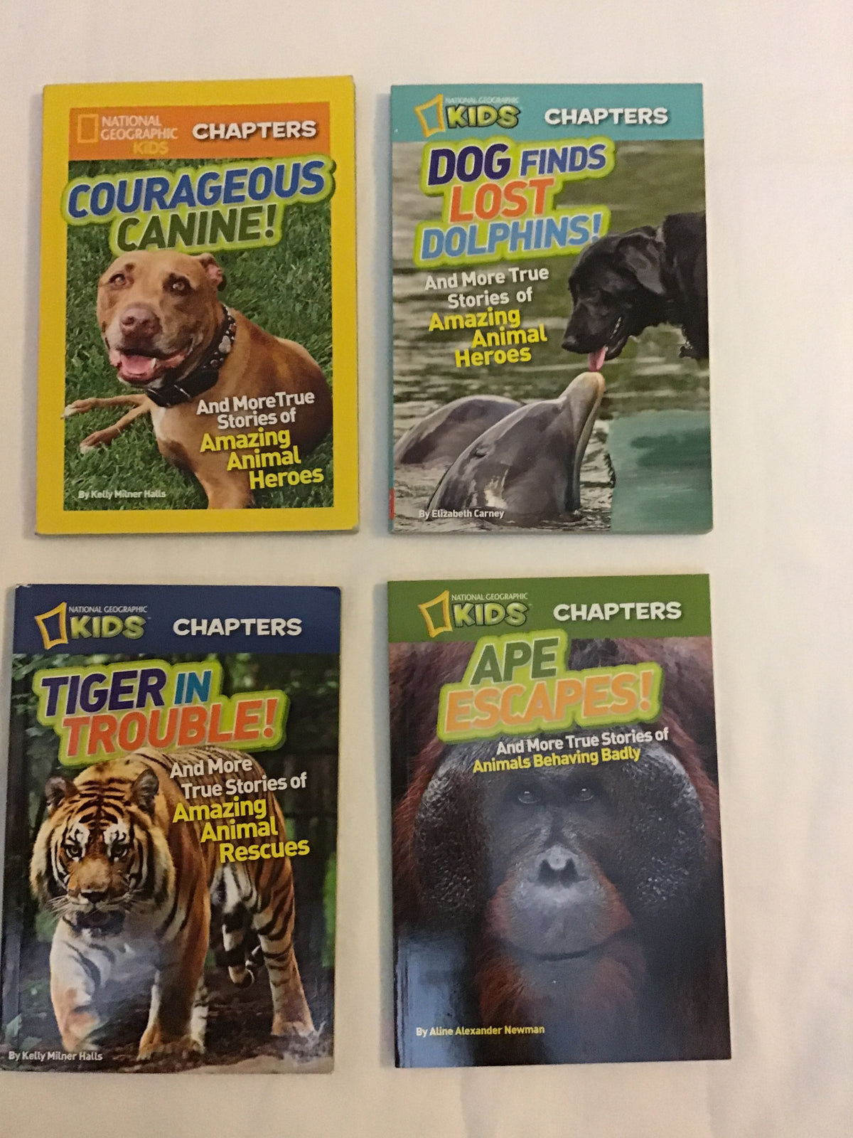 National Geographic Kids Chapter Books with True
