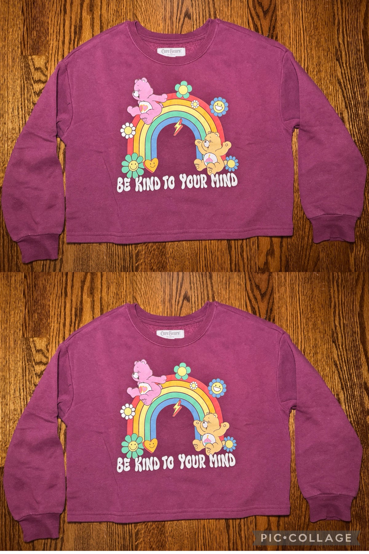 Carebears Sweatshirts - size Youth - 6 (S)