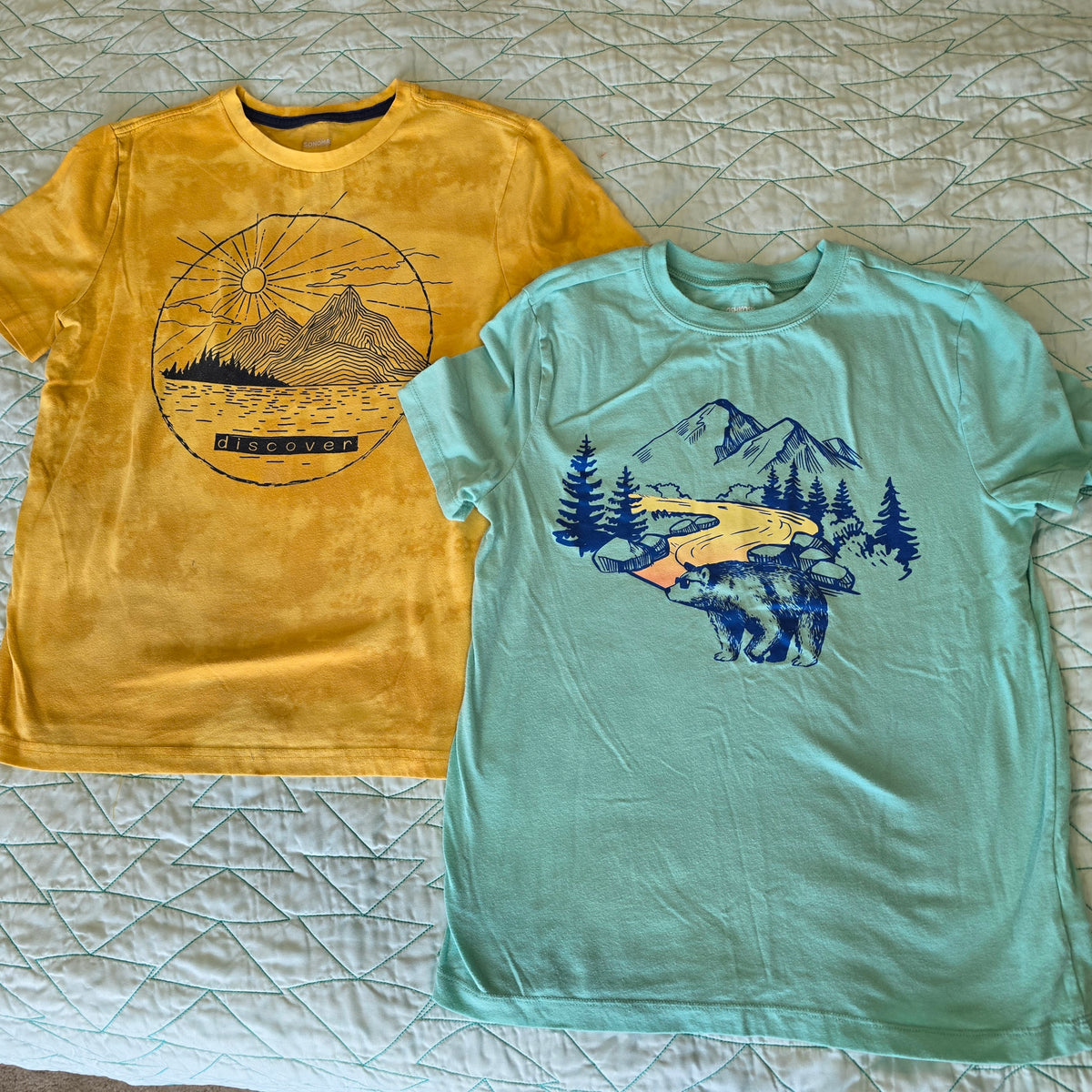 Discover/MTN tee lot, sz 10/12, 2pcs - size Youth - 10 (L)