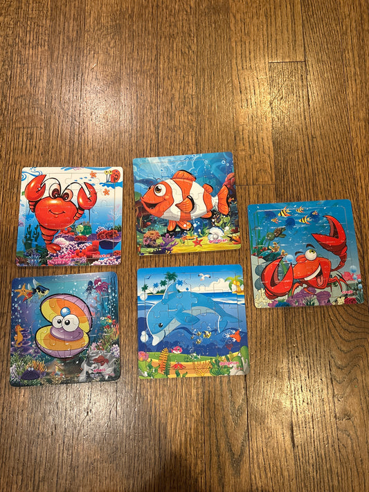 5 mini puzzles