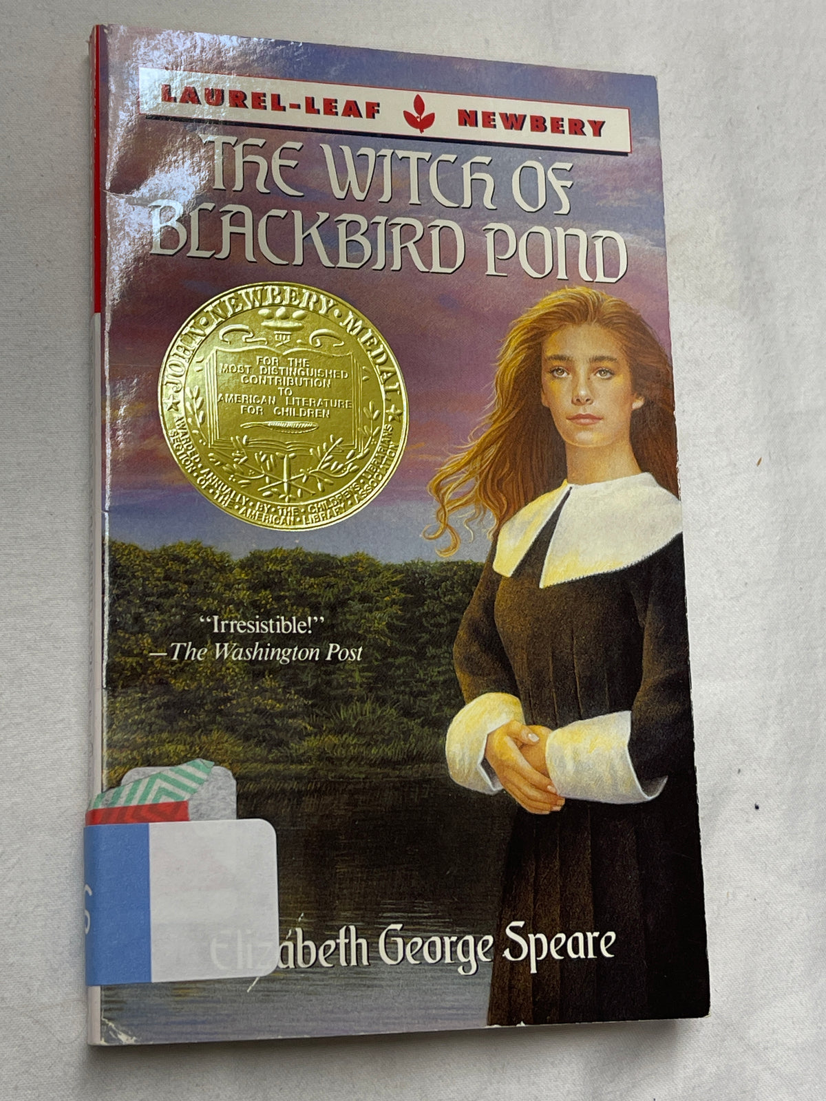 The Witch of Blackbird Pond