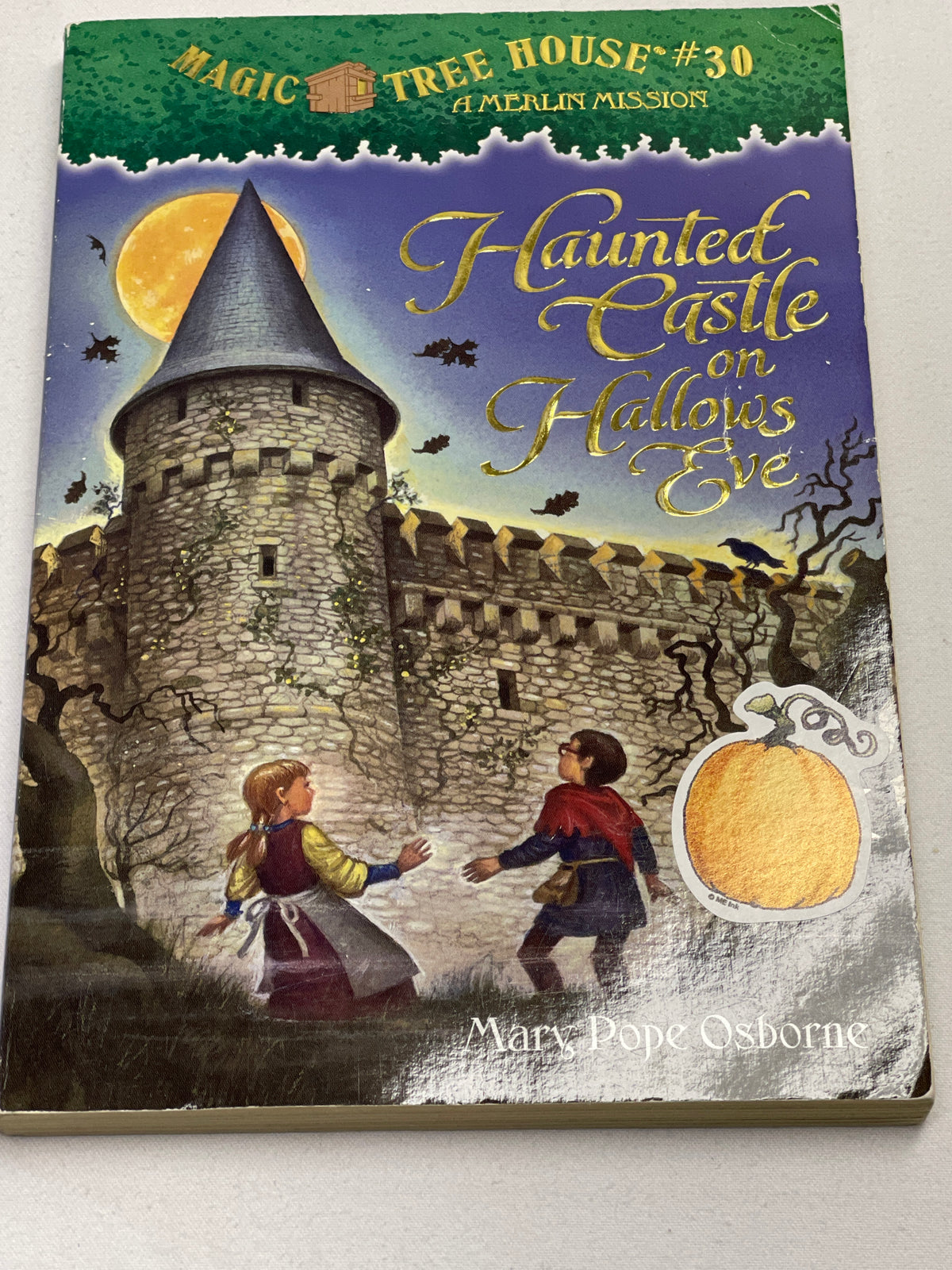 Magic Treehouse #30 Haunted Castle on