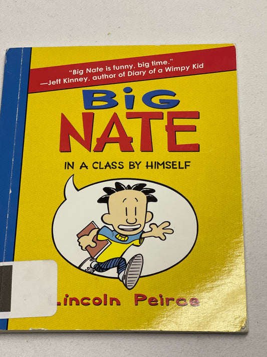 Big Nate in a Class by Himself