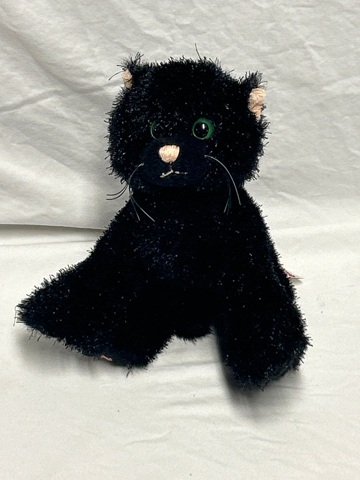 Ganz black cat