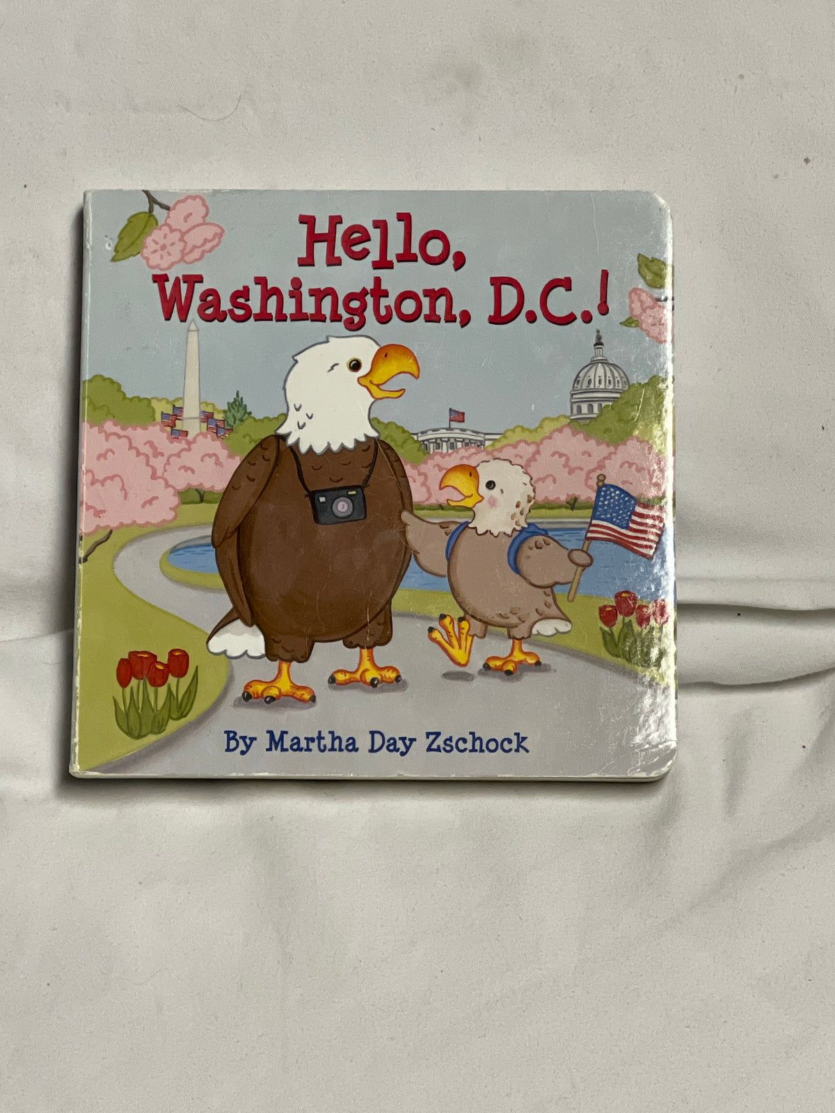 Hello, Washington, DC brand new board book