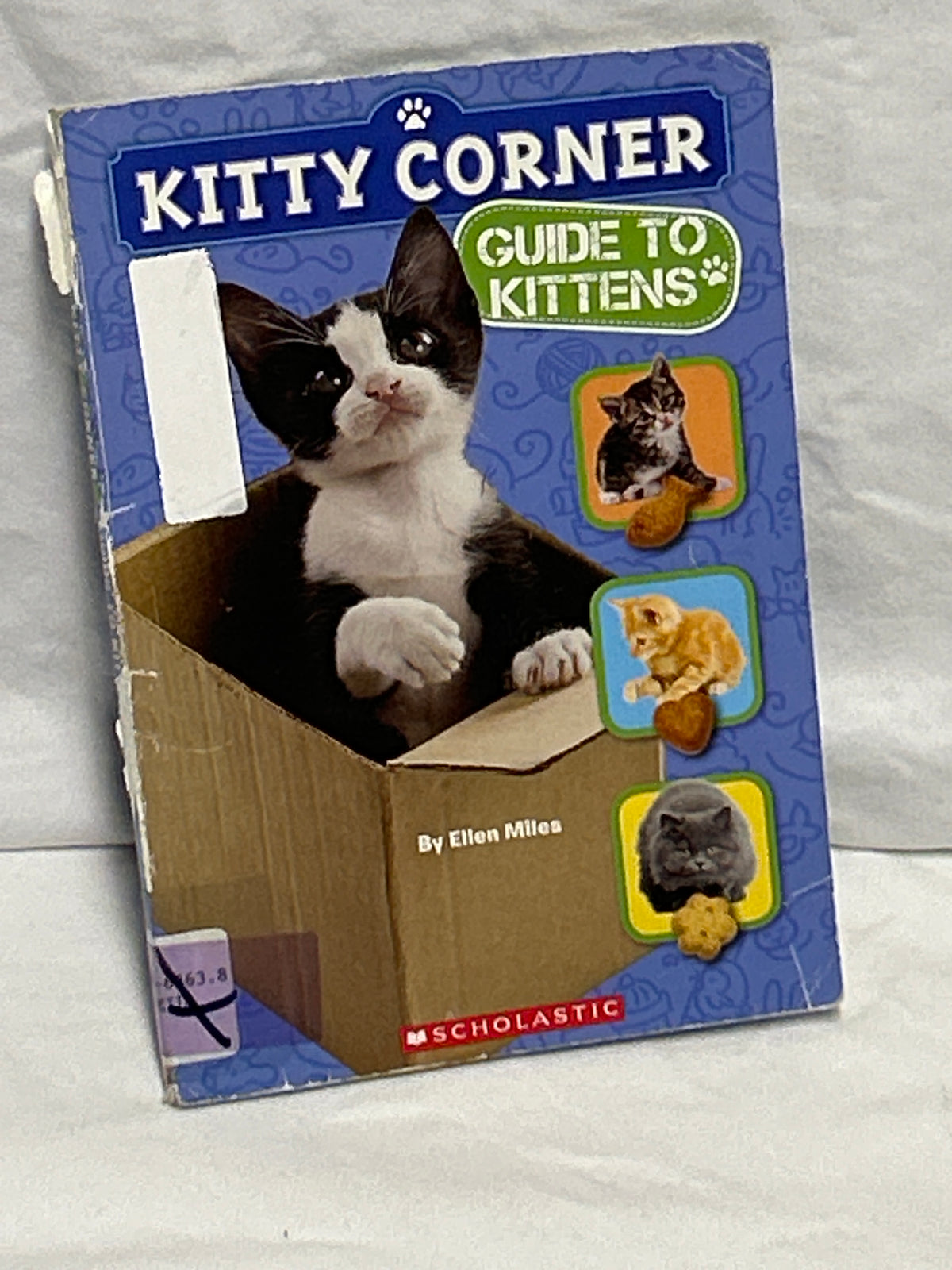 Kitty Corner Guide to Kittens