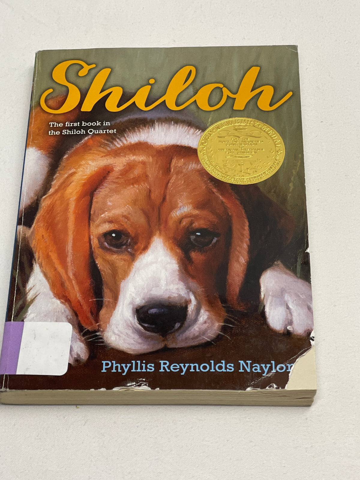 Shiloh