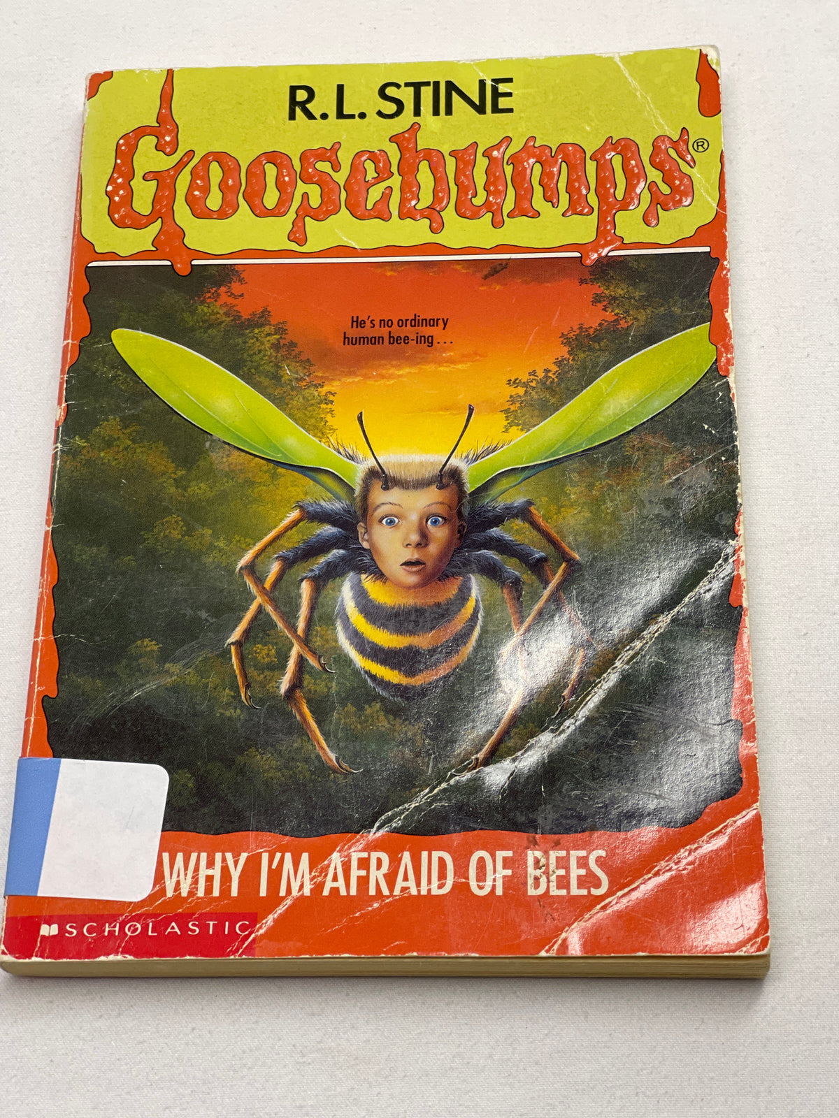 Goosebumps Why I'm Afraid of Bees