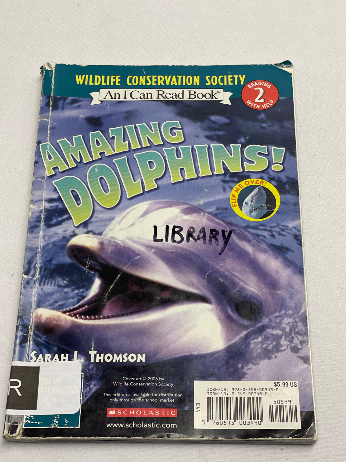 Amazing Dolphins! Level 2