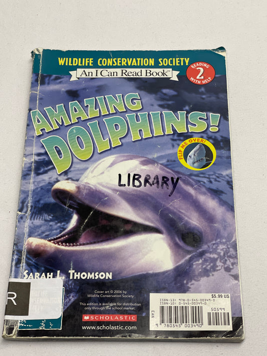 Amazing Dolphins! Level 2