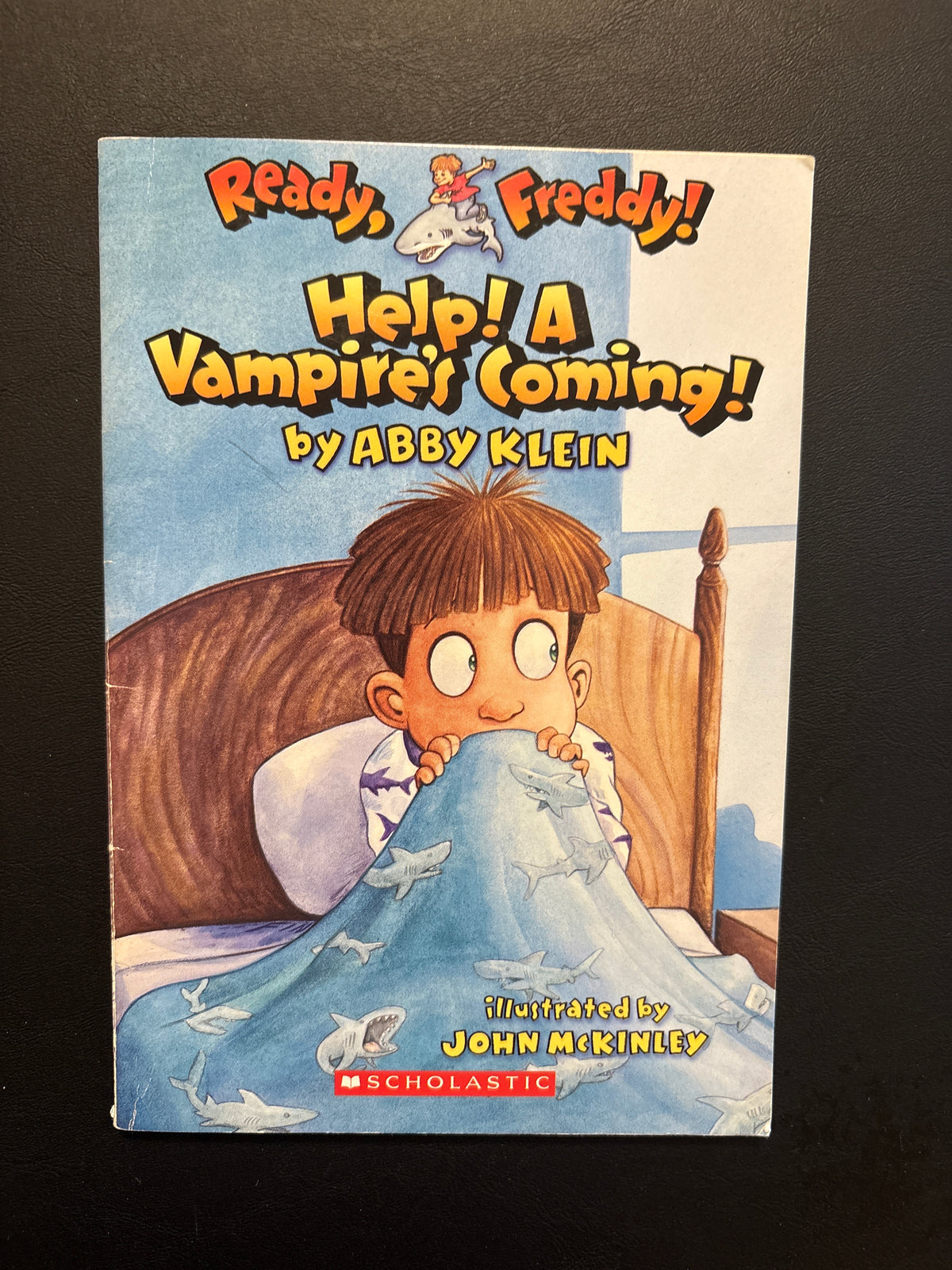 Help! A Vampire's Coming Paperback