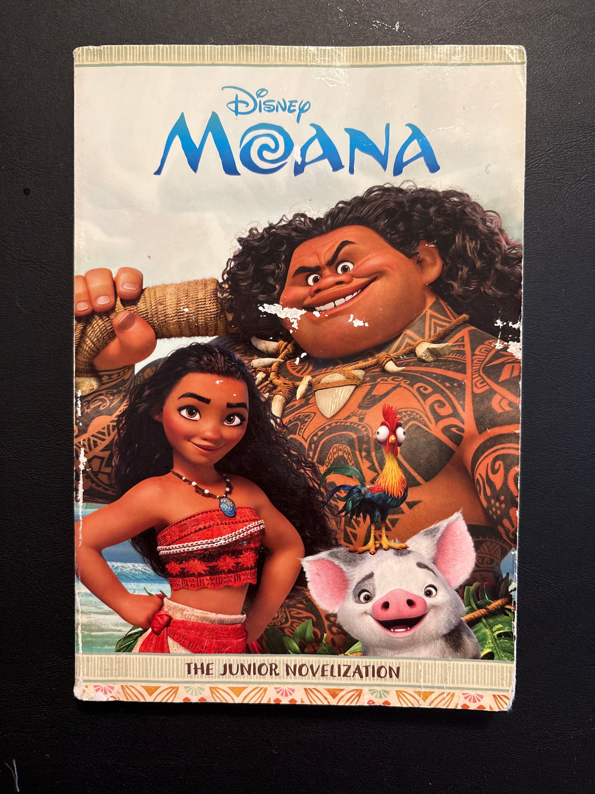 Disney Moana Paperback