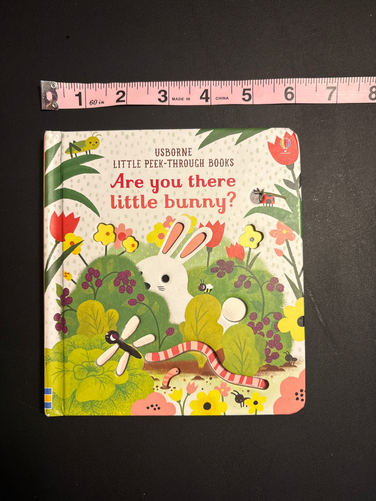 Usborne Are You There Little Bunny?