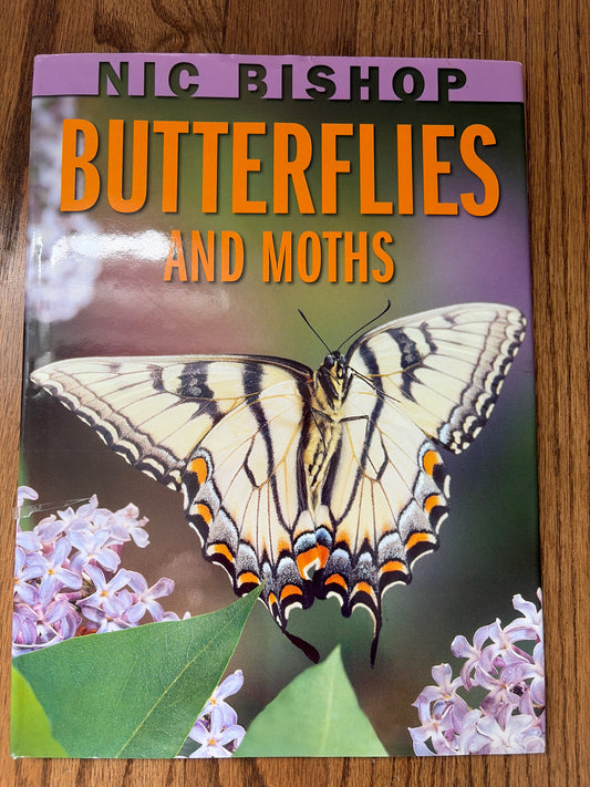 Butterflies and Moths