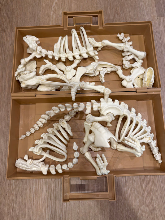 Dino fossil kit Fischer price