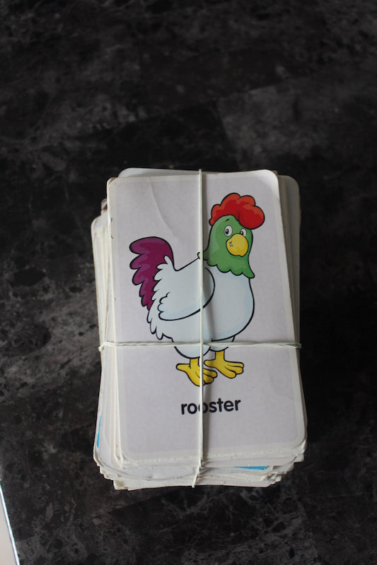 Animal Flashcards