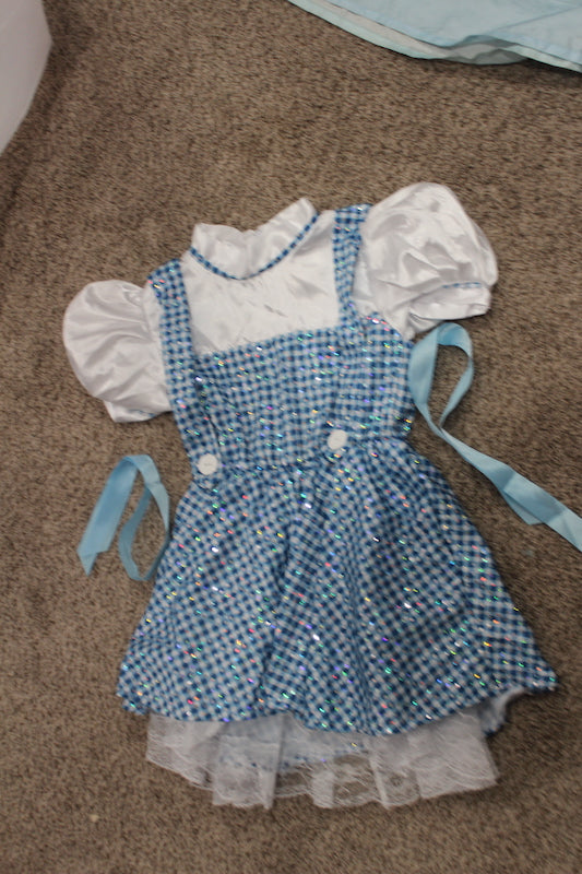 Dorothy Wizard of Oz - size Toddler - 4T