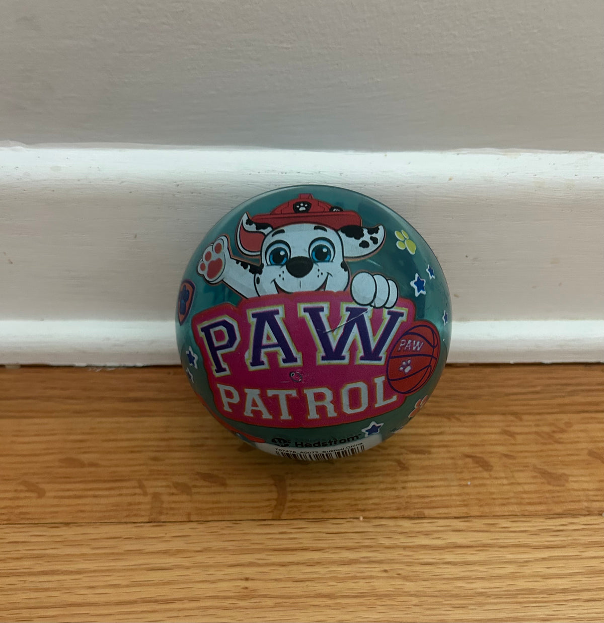 Paw Patrol Light Up Ball
