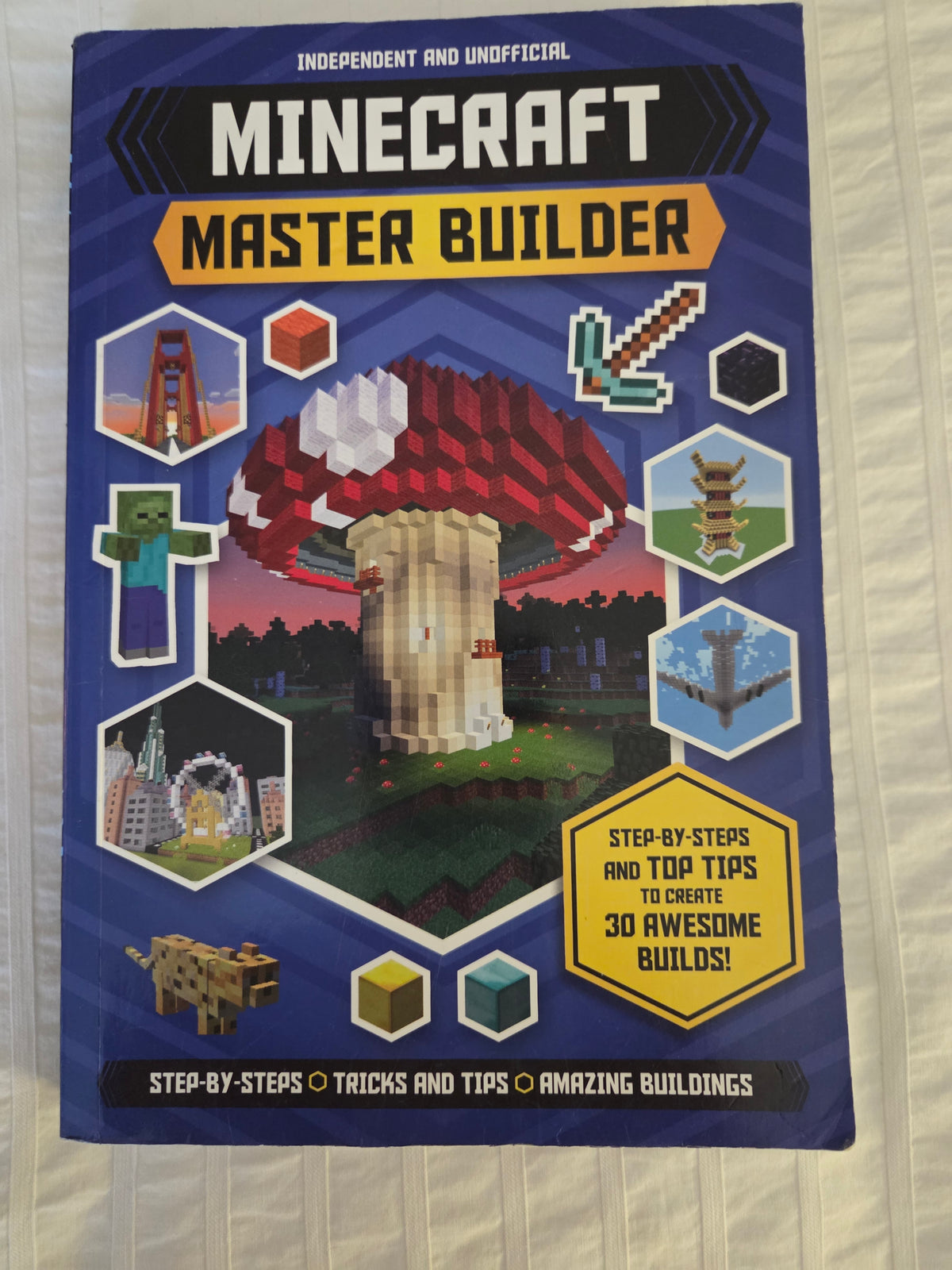 MINECRAFT Master Builder Book