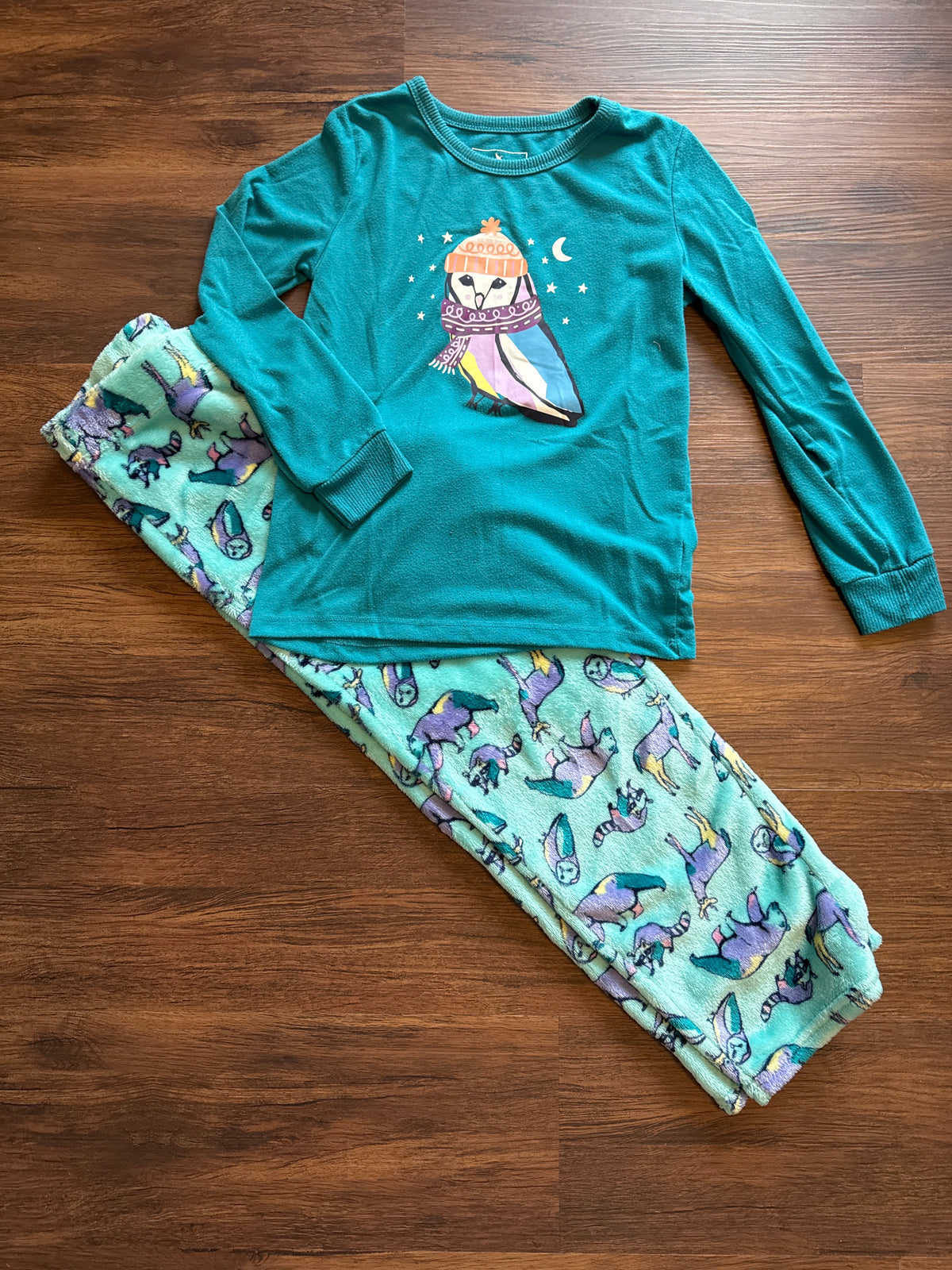 Eddie Bauer 2pc PJ Blue owl/fleece pant - size Youth - 10 (L)