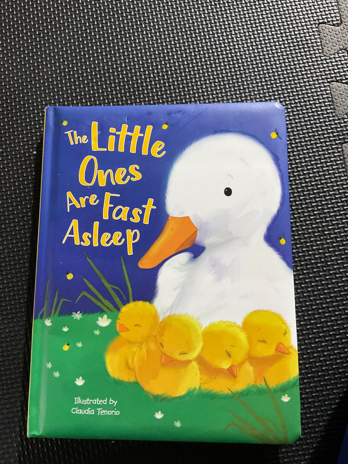 Little Ones Asleep book