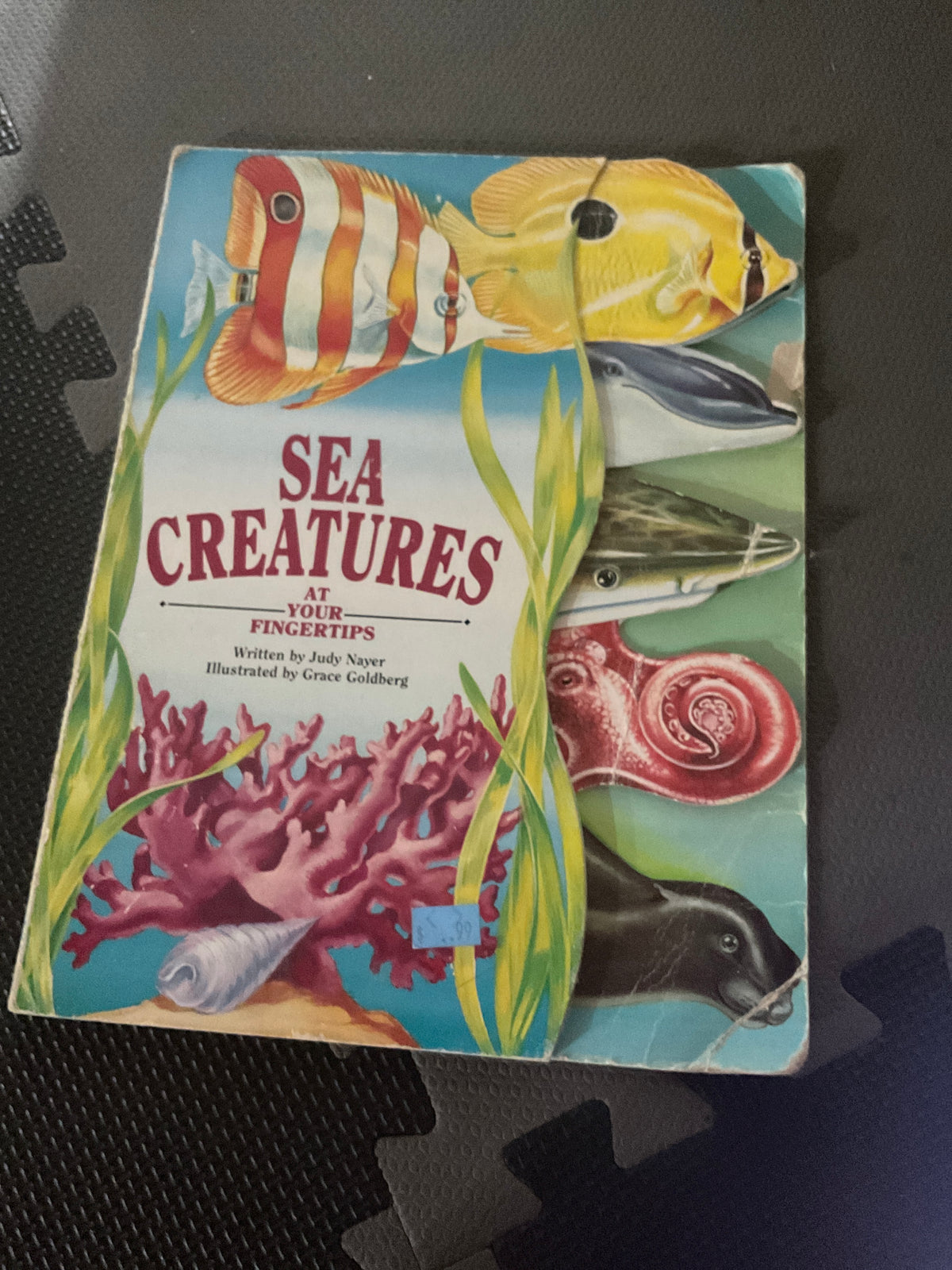 Sea Creatures book